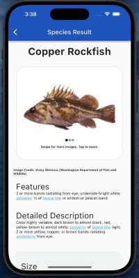 Rockfish id page in mobile app