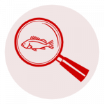 Clipart of a magnifying glass and a rockfish
