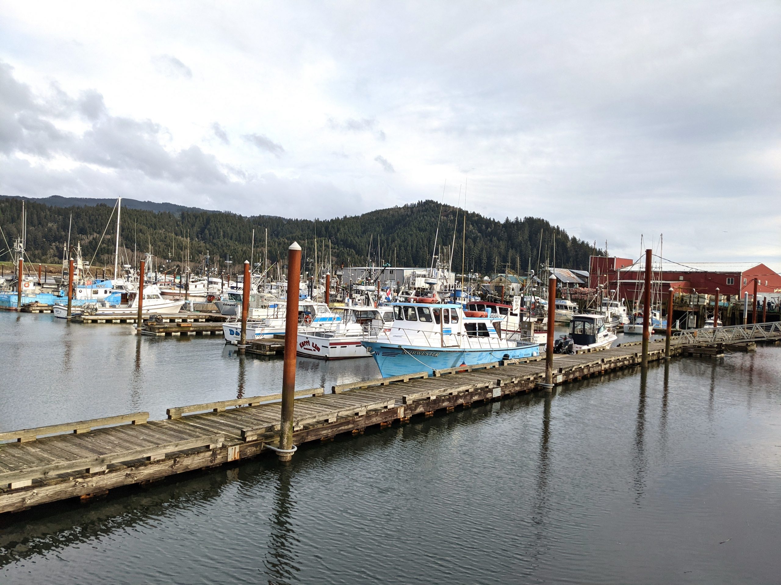 Boats docked at a marina